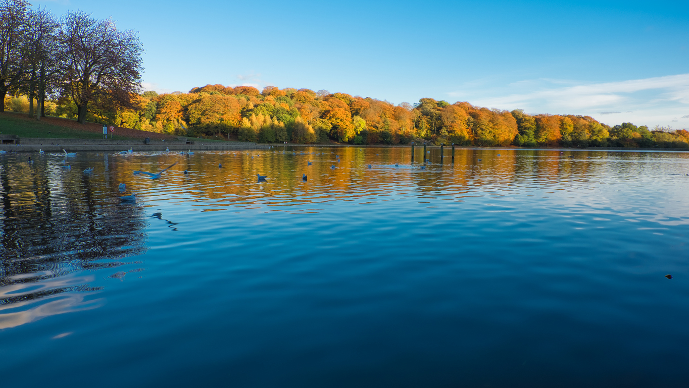 Buy-to-Let in Leeds: A Quick Guide For Investors Buy-to-Let in Leeds