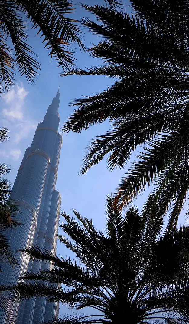 Burj Khalifa framed by palm trees in Dubai highlighting why investors consider property investment in a global city market